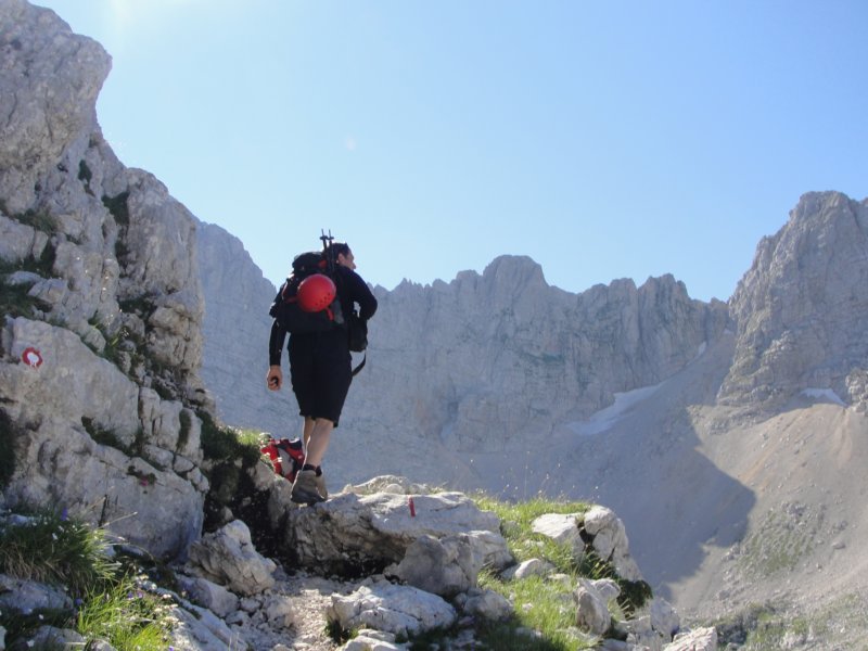 bovkigamsovec40.jpg