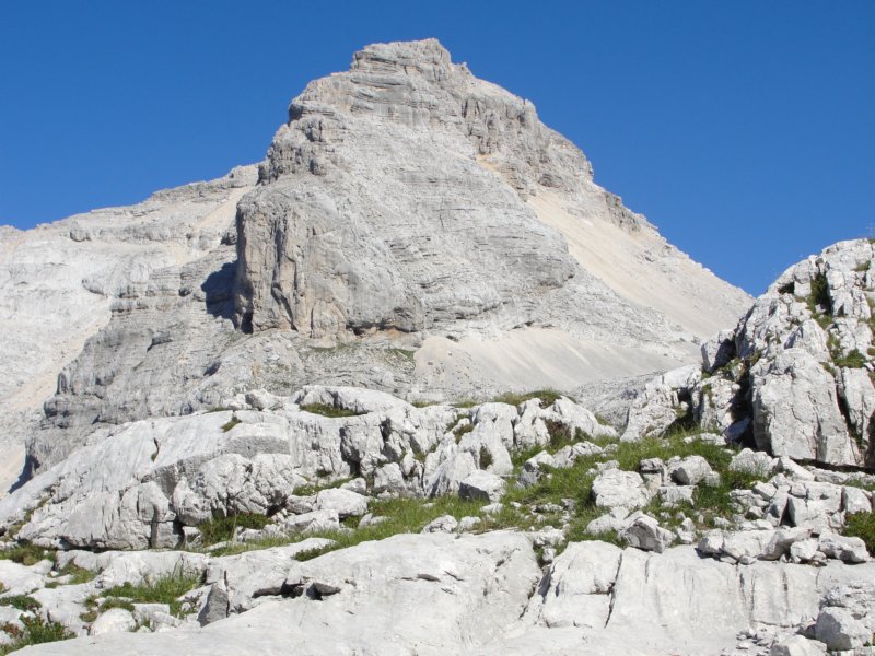 bovkigamsovec43.jpg