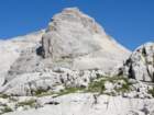 bovkigamsovec43_small.jpg