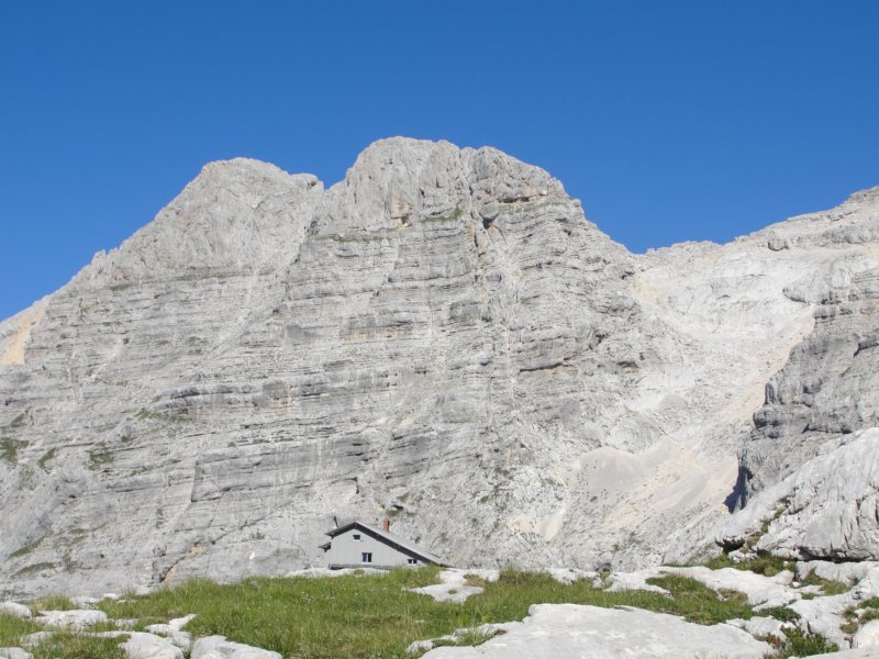bovkigamsovec44.jpg