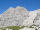bovkigamsovec44_small.jpg