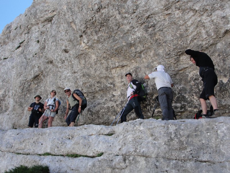 bovkigamsovec46.jpg