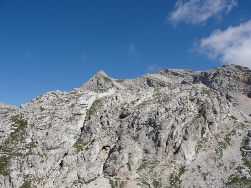 bovkigamsovec48.jpg