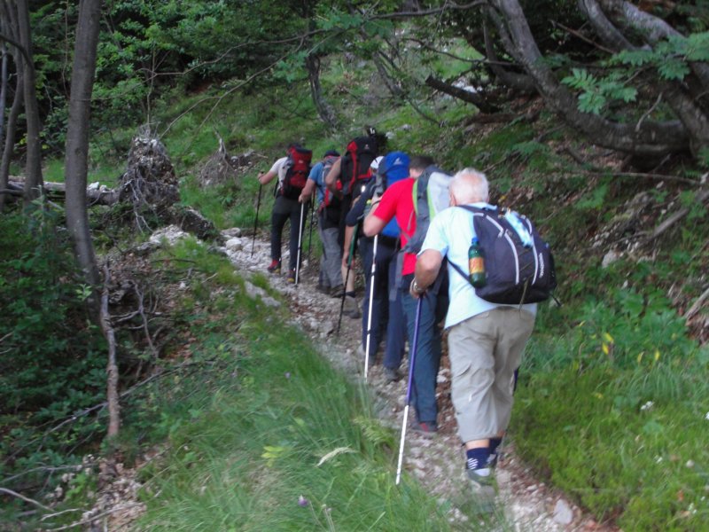 bovkigamsovec5.jpg