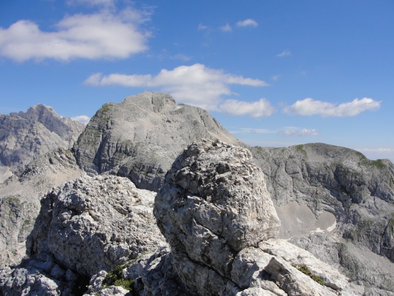 bovkigamsovec54.jpg