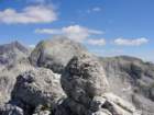 bovkigamsovec54_small.jpg
