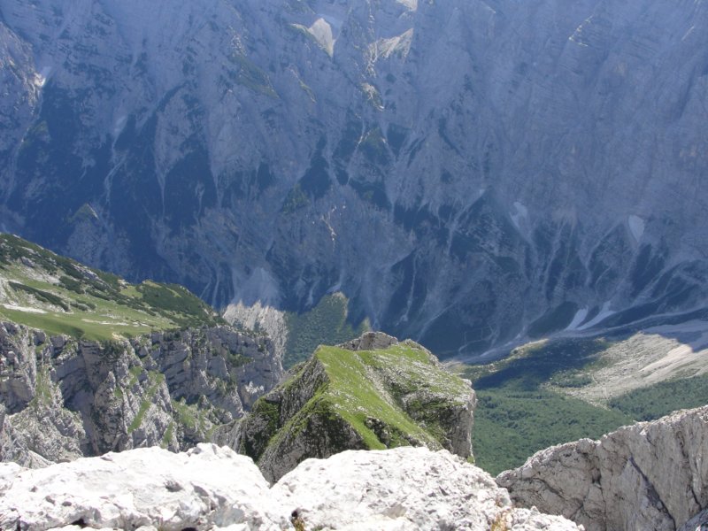 bovkigamsovec56.jpg