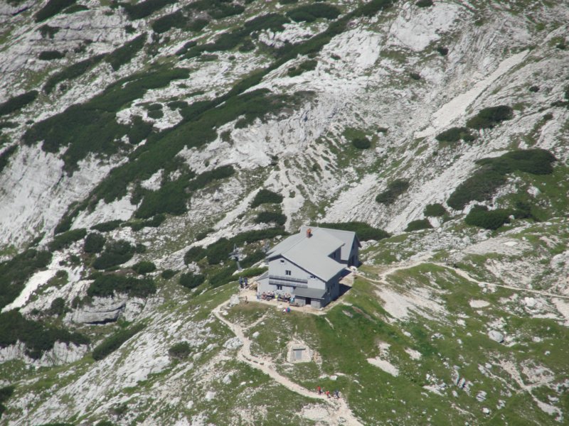 bovkigamsovec59.jpg
