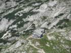 bovkigamsovec59_small.jpg