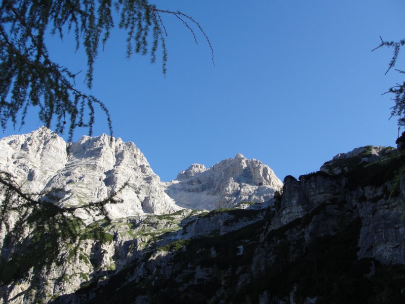 bovkigamsovec6.jpg
