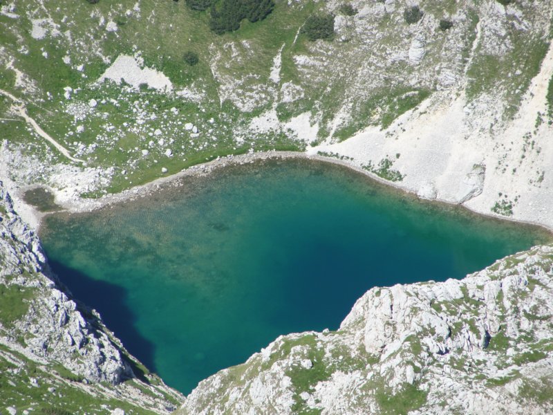bovkigamsovec62.jpg