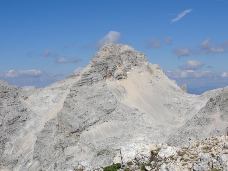 bovkigamsovec65.jpg