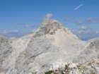 bovkigamsovec65_small.jpg