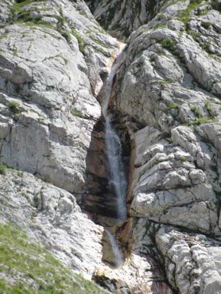 bovkigamsovec72.jpg