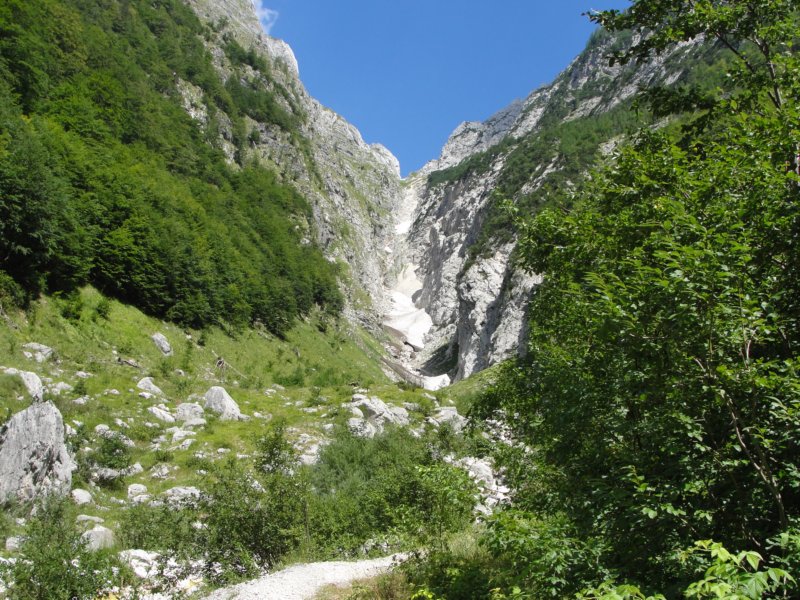 bovkigamsovec73.jpg