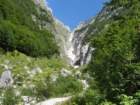 bovkigamsovec73_small.jpg