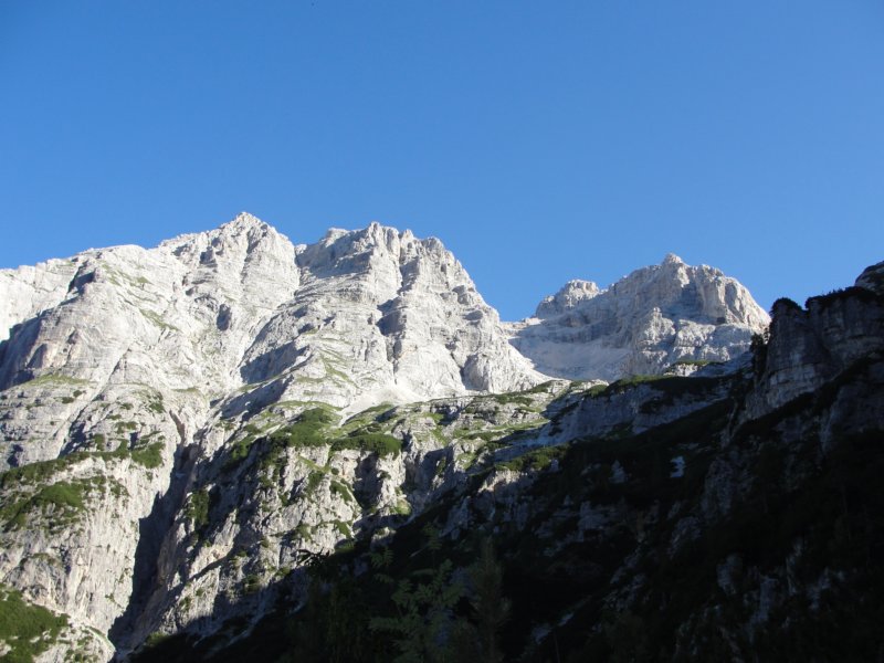 bovkigamsovec9.jpg