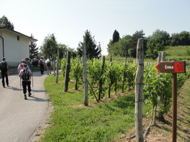 gbrda36.jpg