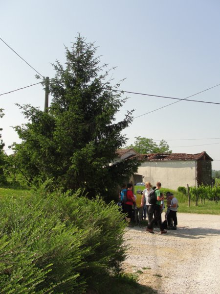 gbrda55.jpg