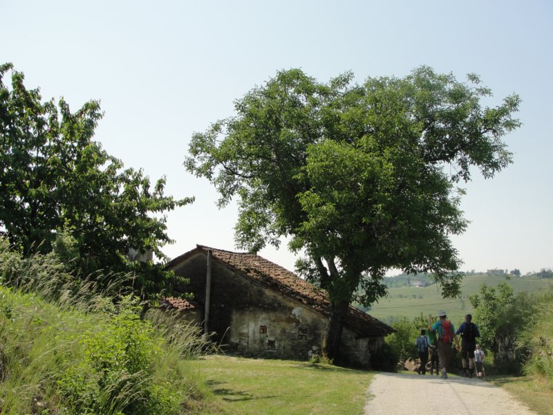 gbrda79.jpg