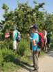 gorikabrda201511_small.jpg