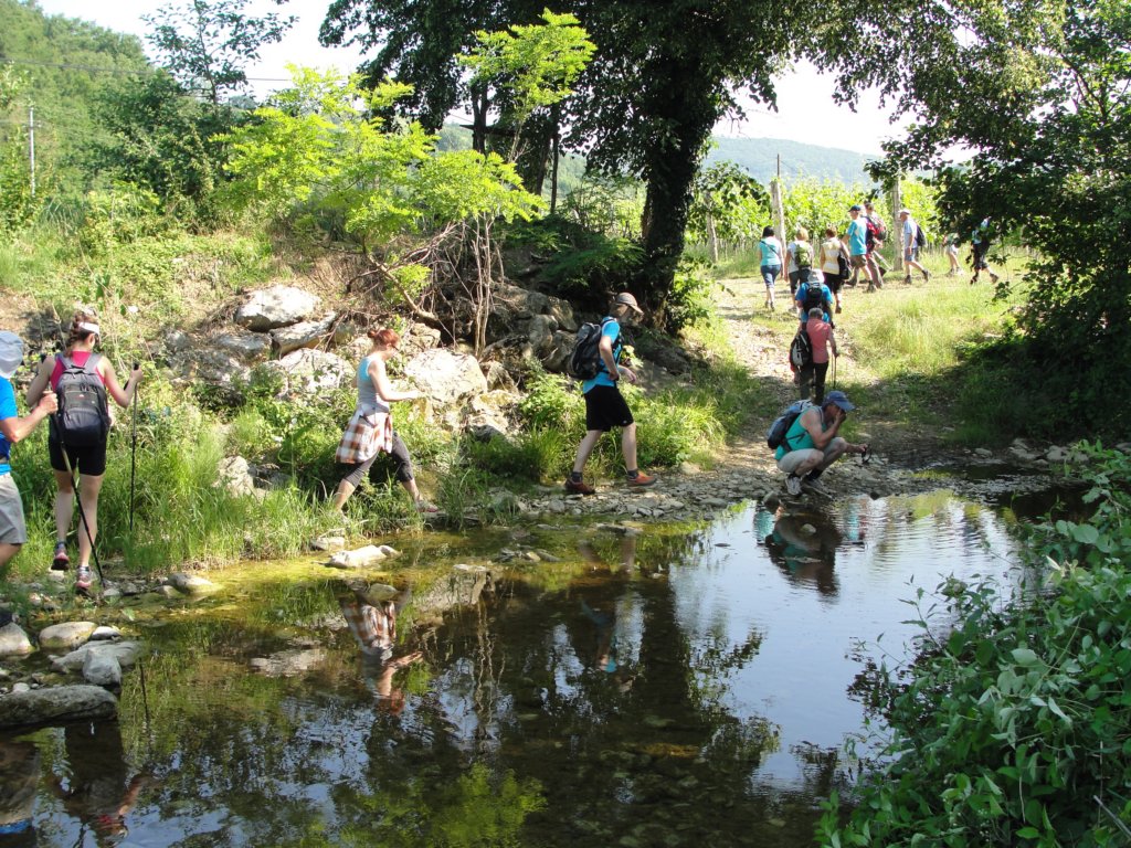 gorikabrda201514.jpg