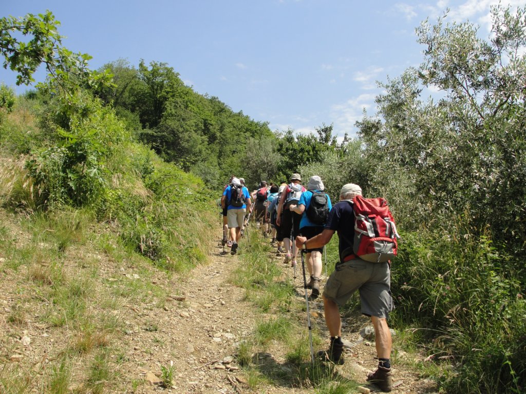 gorikabrda201531.jpg