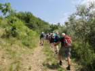 gorikabrda201531_small.jpg