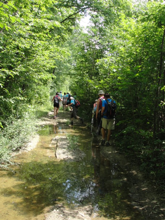 gorikabrda201532.jpg