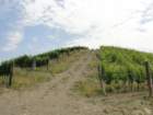 gorikabrda201534_small.jpg
