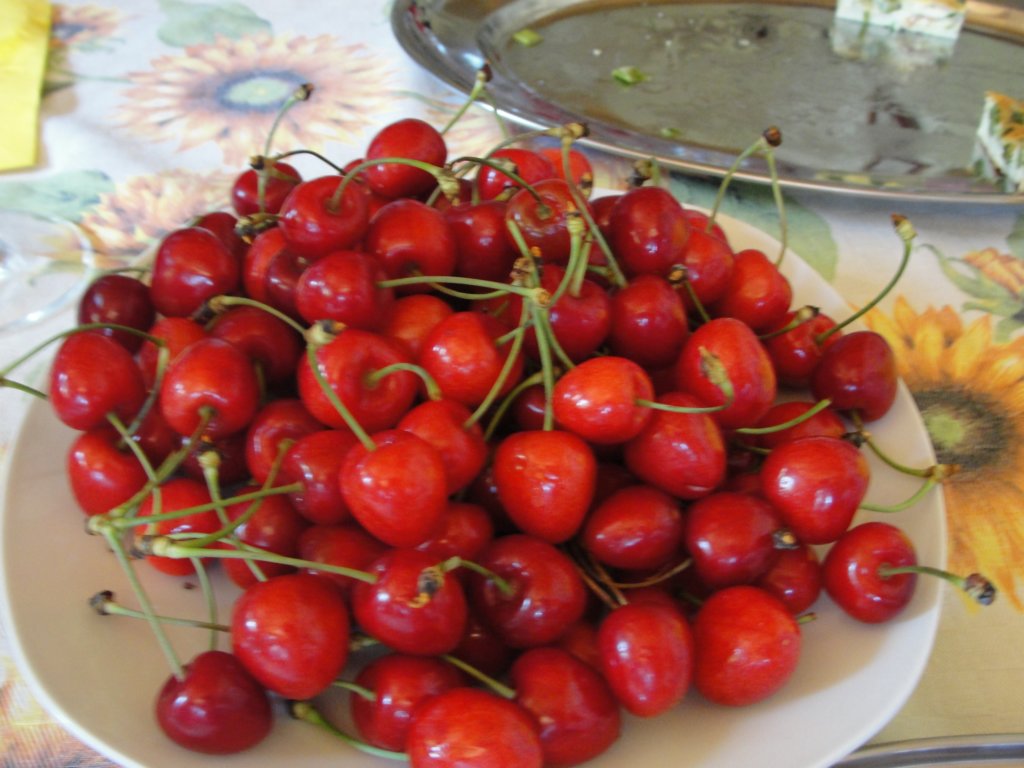 gorikabrda201540.jpg