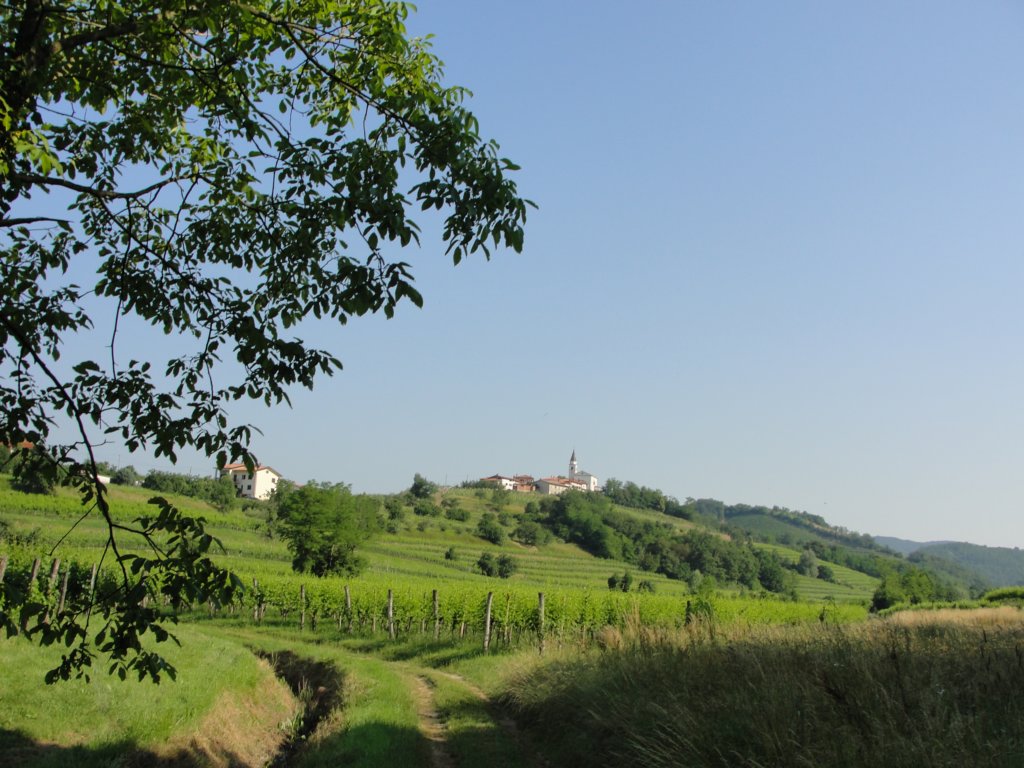gorikabrda20157.jpg