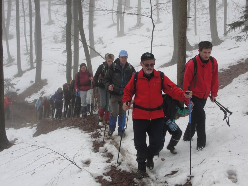 brezovica29.jpg