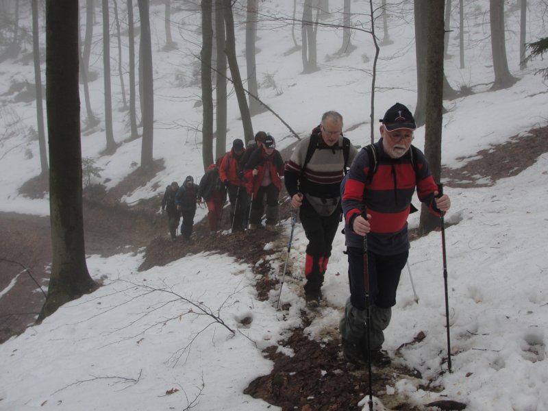 brezovica32.jpg