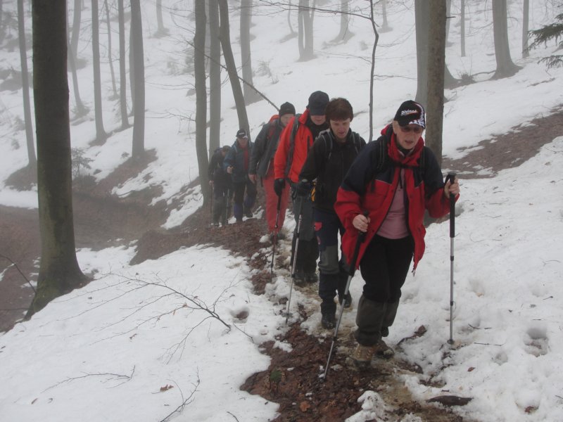brezovica33.jpg