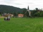 zala201615_small.jpg