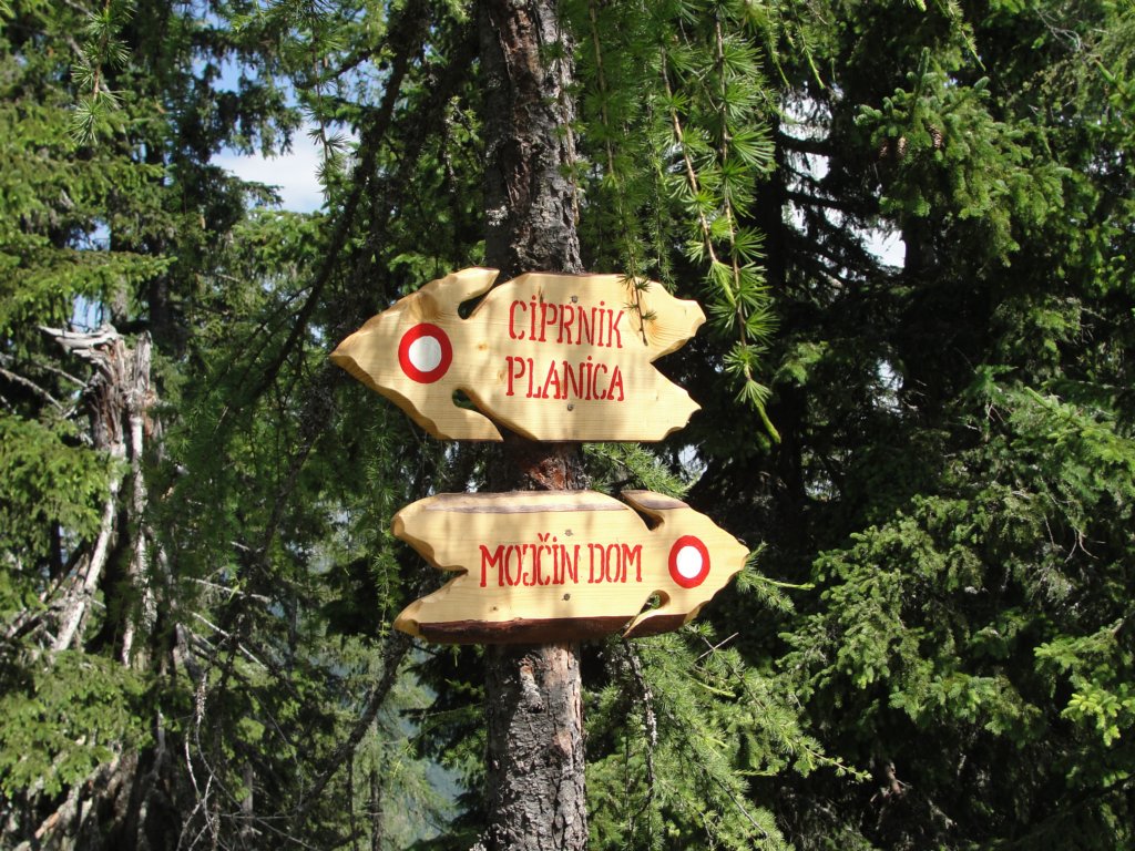 ciprnikinvitranc27.jpg