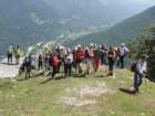 ciprnikinvitranc56_small.jpg