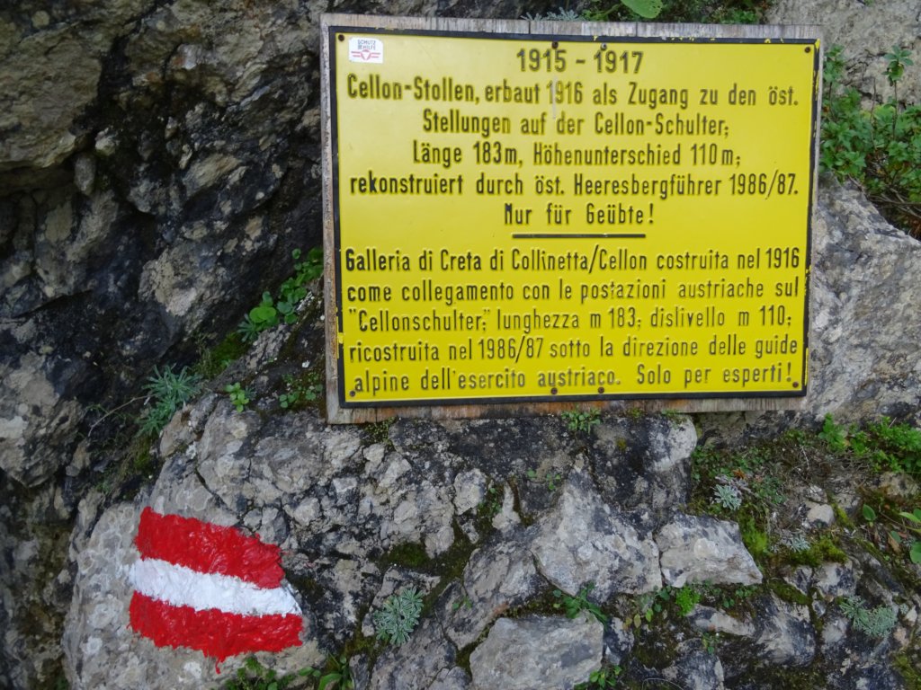 collinetacoglians52.jpg