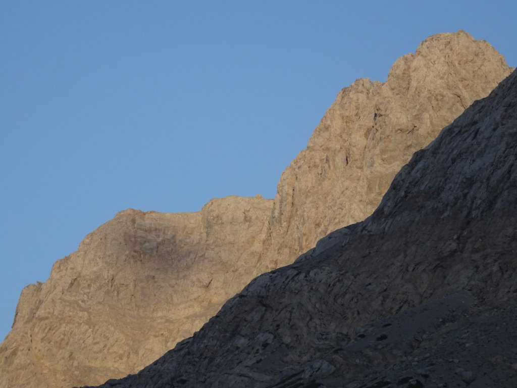 collinetacoglians74.jpg