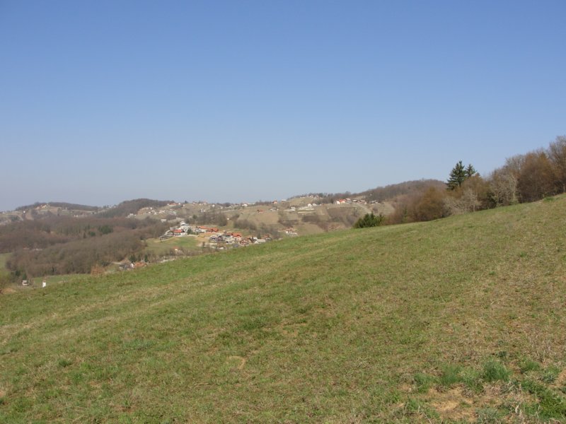 cvikovagaz16.jpg