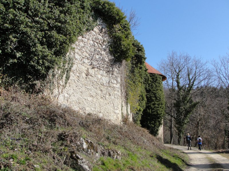 cvikovagaz23.jpg
