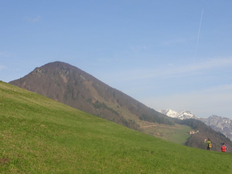dava12.jpg
