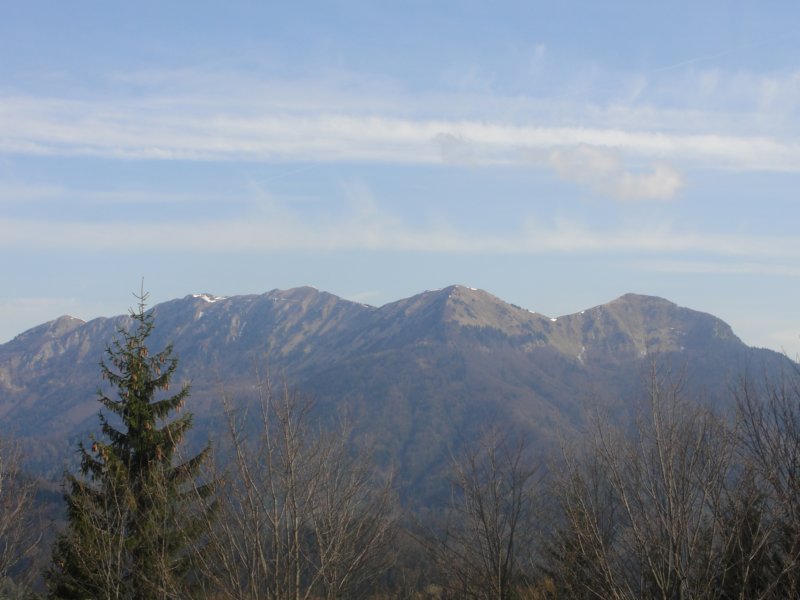 dava14.jpg