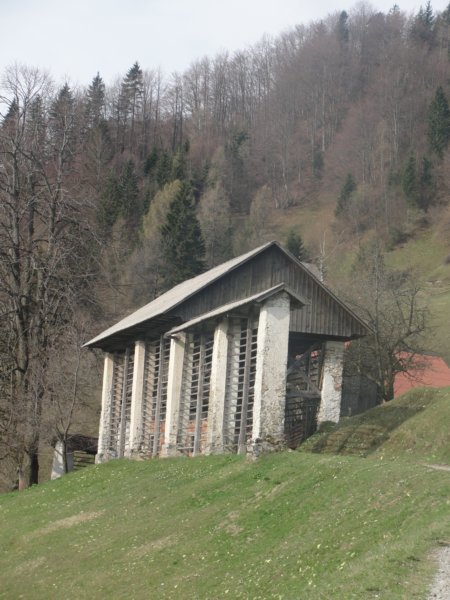 dava15.jpg