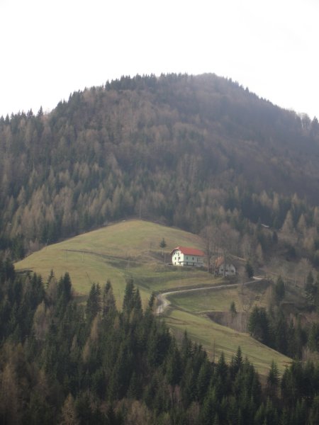 dava16.jpg