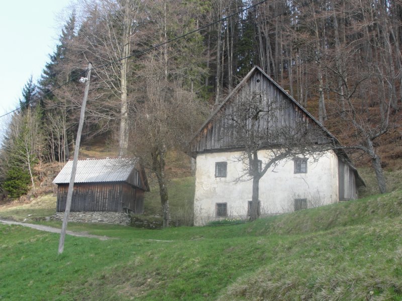 dava2.jpg