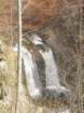 dava22_small.jpg
