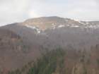 dava24_small.jpg