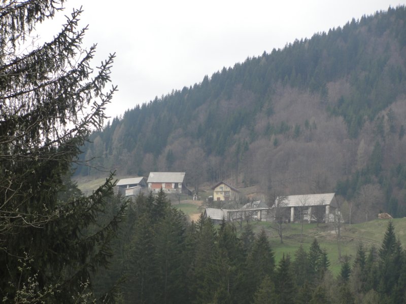 dava33.jpg